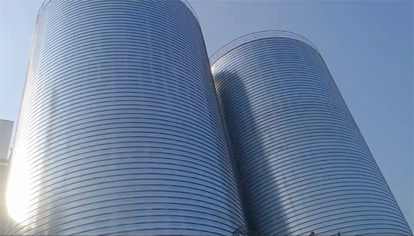 卫东2座混凝土高架卷板仓